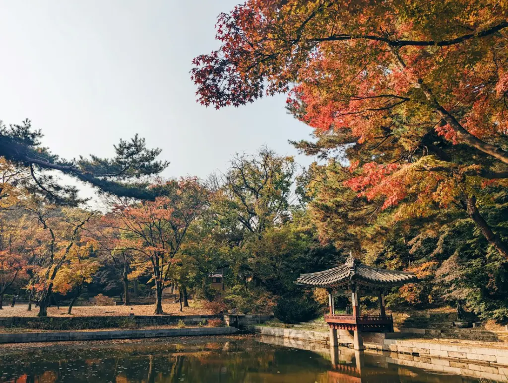 L'automne en Corée du Sud
