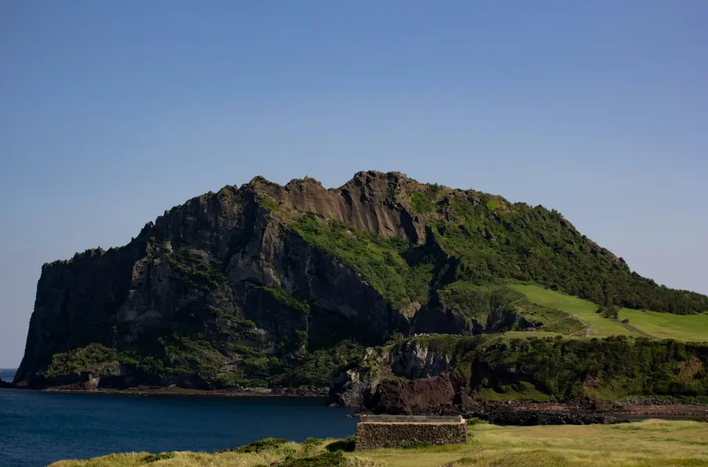 Rocher volcanique sur l'Île de Jeju
