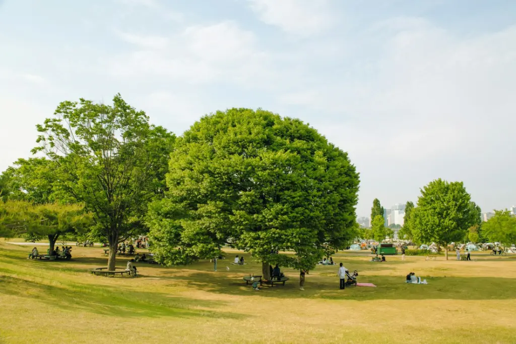 parc yeouido seoul