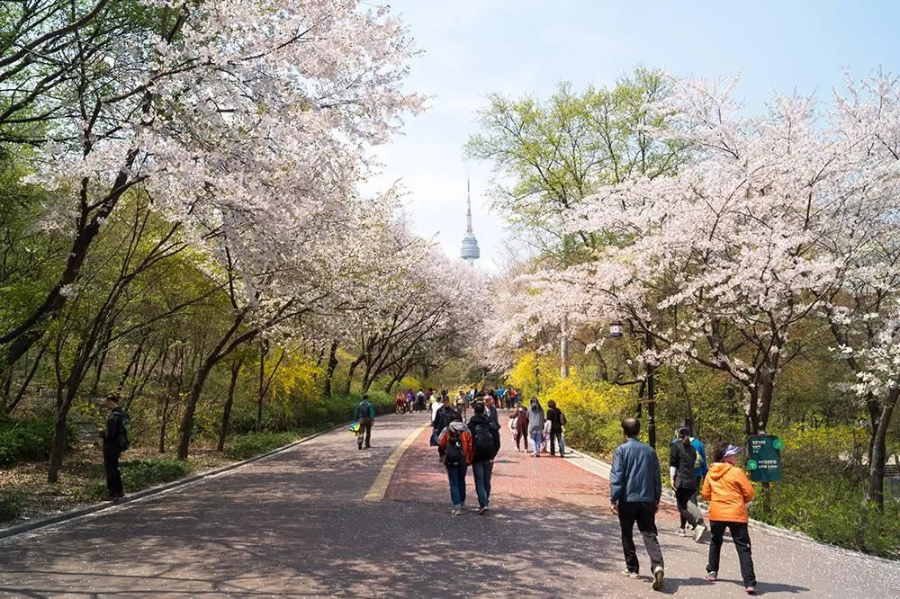 Parc Namsan Séoul
