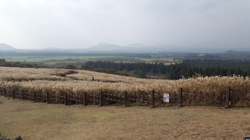 Vue panoramique depuis Sangumburi sur l'Île de Jeju