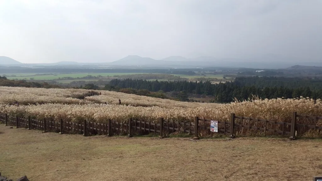 Vue panoramique depuis Sangumburi sur l'Île de Jeju
