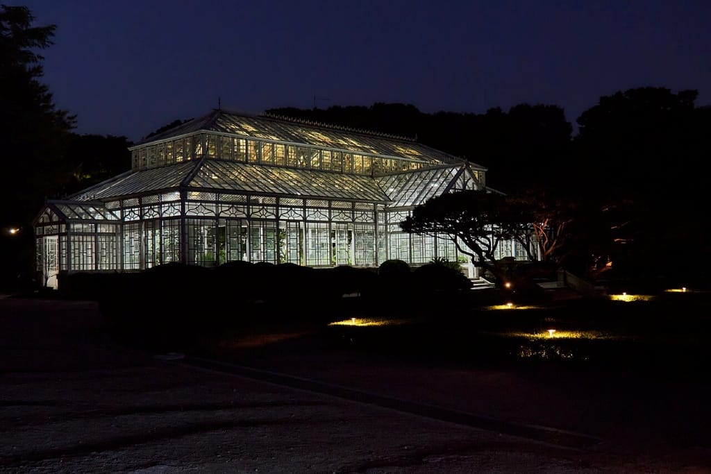 Serre botanique Daeonsil illuminée la nuit au Palais de Changgyeonggung