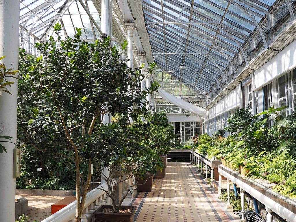 Intérieur de la Greenhouse "Daeonsil" du Palais de Changgyeonggung